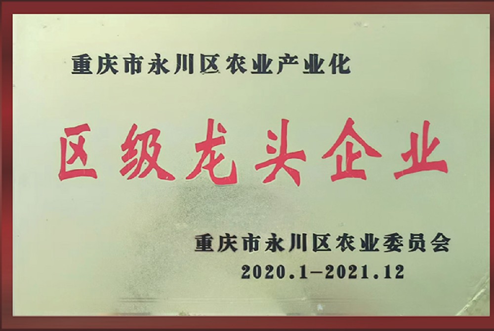 区级龙头企业